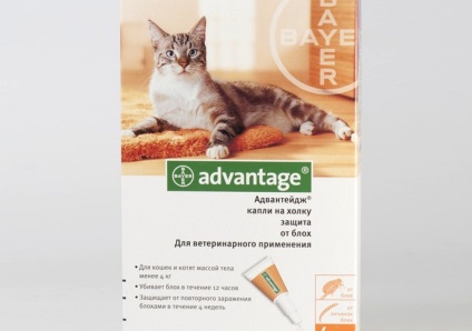 Advanteydzh macskáknak Használati utasítás leesik bolhák és macska tulajdonosok véleménye