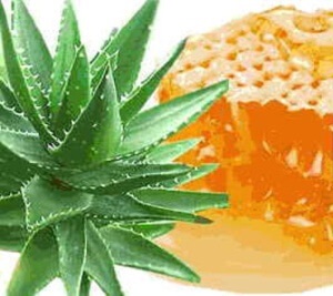 Aloe és méz - a természetes és a csodaszer, gyomor-egészségügyi