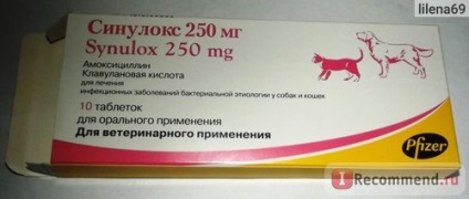 Antibiotikum Pfizer cinuloks - „A macska fordult hurutok, de megbirkózott vele! „Vélemények