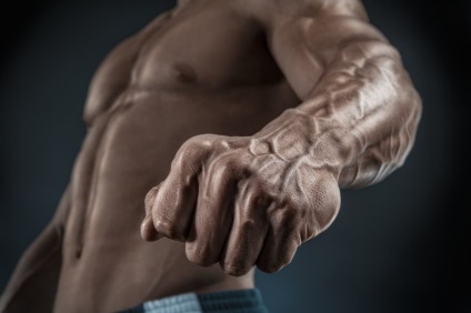 Szkander képzés jellemzői, és a legjobb gyakorlatok, fitness