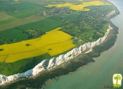 Dover fehér sziklák az FA (rock) Dover fehér sziklái Anglia