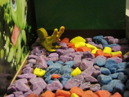 Blog yulchatki - Gyermek Aquarium of the box kezét, hogyan kell csinálni, hová tegye