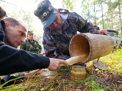 Wild-kaptár méz hasznos tulajdonságokkal, fotók