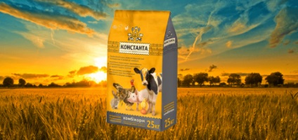 Mit jelent a nyulak, egy állandó (konstans) Mit jelentenek a nyulak, a folyamatos
