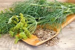 Mit lehet cserélni a kakukkfű, tanácsadó (helyett) Mit lehet cserélni a kakukkfű, tanácsadó