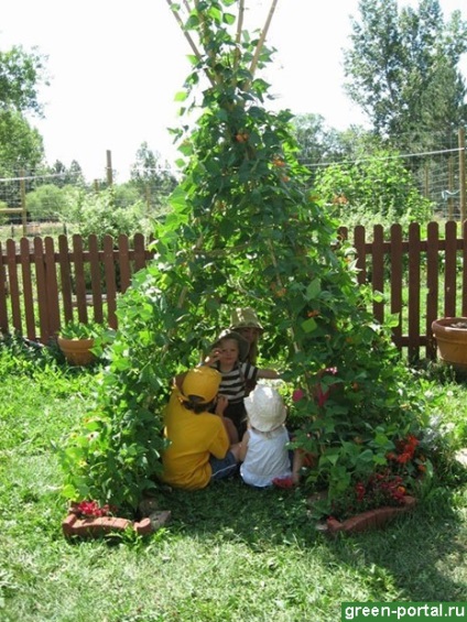 Mi köze a gyerekek az ország arca kertben a gyermekek - kerttervezés saját kezét
