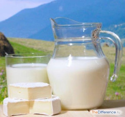 Mi jobb tan vagy ayran - női magazin online (tej) Mi jobb tan vagy ayran - női magazin online