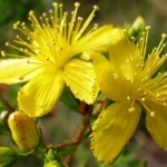 Mi a retina angiopathy okok és a tünetek, a kezelés és a megelőzés a patológiás