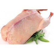 Csirke brojler lehűtjük bzhu (fehérje-, zsír-, szénhidrát-), kalóriatartalmú, tápláló