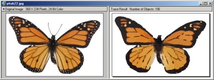 Corel Draw trace bitmap