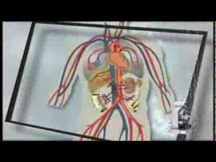 Cubendokardialnaya ischaemia jelei az EKG (jelek) Cubendokardialnaya ischaemia jelei az EKG
