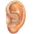 Diagnózis a füle