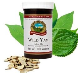 Wild Yam (Dioscorea bozontos) tulajdonságokat és alkalmazás a nők, ellenjavallatok kivonat (Dioscorea) Wild Yam (Dioscorea bozontos) tulajdonságokat és alkalmazás a nők, ellenjavallatok kivonat