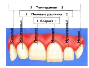 Esztétikai fogászat - Fogorvosi cikkek a portálon