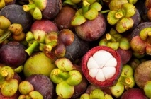 Mangosztán gyümölcs (Mangosztán) hasznos tulajdonságai, mint hasznos gyümölcslé, olaj, alkalmazható a háztartásokban (tulajdonságok) Mangosztán gyümölcs (Mangosztán) hasznos tulajdonságai, mint hasznos gyümölcslé, olaj, használt otthoni