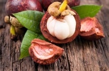 Mangosztán gyümölcs (Mangosztán) hasznos tulajdonságai, mint hasznos gyümölcslé, olaj, alkalmazható a háztartásokban (Mangosztán) Mangosztán gyümölcs (Mangosztán) hasznos tulajdonságai, mint hasznos gyümölcslé, olaj, használt otthoni