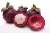 Mangosztán gyümölcs (Mangosztán) hasznos tulajdonságai, mint hasznos gyümölcslé, olaj, alkalmazható a háztartásokban (a gyümölcs) Mangosztán gyümölcs (Mangosztán) hasznos tulajdonságai, mint hasznos gyümölcslé, olaj, használt otthoni