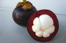 Mangosztán gyümölcs (Mangosztán) hasznos tulajdonságai, mint hasznos gyümölcslé, olaj, alkalmazható a háztartásokban (a gyümölcs) Mangosztán gyümölcs (Mangosztán) hasznos tulajdonságai, mint hasznos gyümölcslé, olaj, használt otthoni