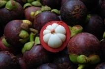 Mangosztán gyümölcs (Mangosztán) hasznos tulajdonságai, mint hasznos gyümölcslé, olaj, alkalmazható a háztartásokban (tulajdonságok) Mangosztán gyümölcs (Mangosztán) hasznos tulajdonságai, mint hasznos gyümölcslé, olaj, használt otthoni