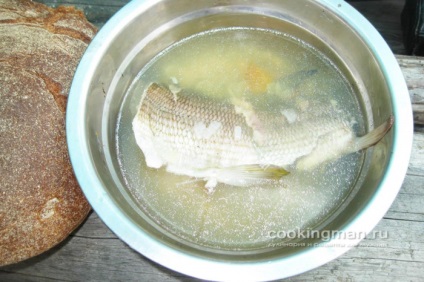 Főzés halászati ​​- receptek képekkel - főzés a férfiak