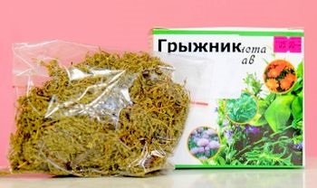 Gryzhnik - fű receptek a hagyományos orvoslás