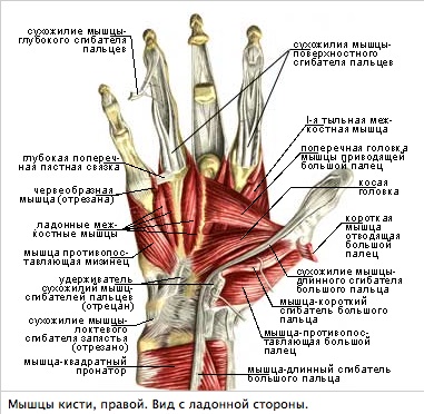 kéztőízület nyaki ízületi fájdalom
