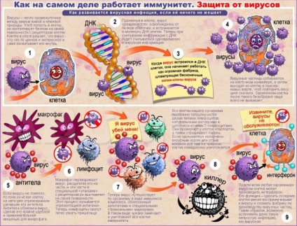 immunitás nők