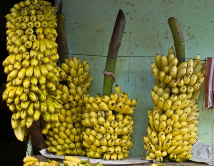 Mik banán