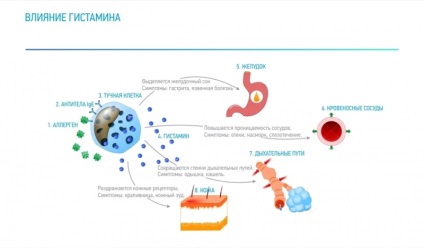 Hogyan lehet megszabadulni az allergia - megmenekült a tavaszi fellángolása (tavaszi pollen allergia) Hogyan lehet megszabadulni az allergia - megmenekült a tavaszi súlyosbodása