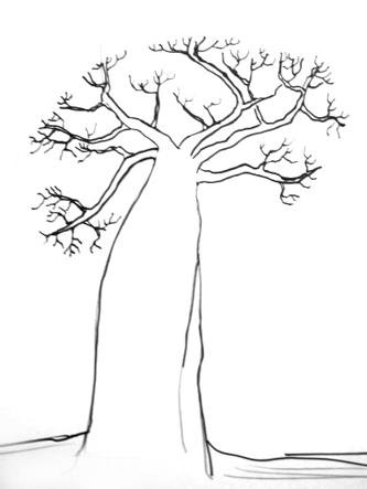 Hogyan kell felhívni a baobab fa (ábra baobab) Hogyan kell felhívni a baobab