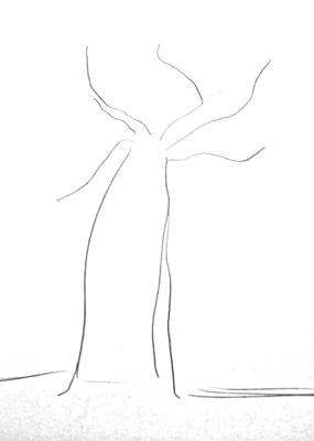 Hogyan kell felhívni a baobab fa (Baobab) Hogyan kell felhívni a baobab