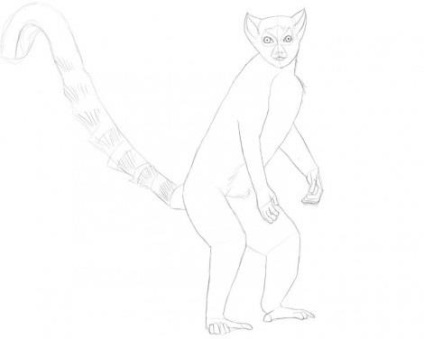 Hogyan kell felhívni a ceruzát lemur szakaszaiban