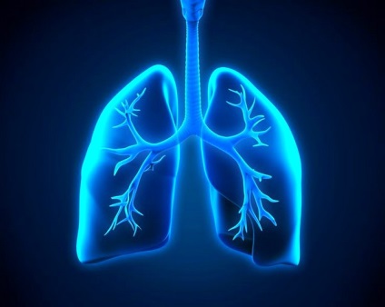 Mi a köhögés jelentkezik hörghurut, kezelésére szolgáló eljárásokban bronchitis