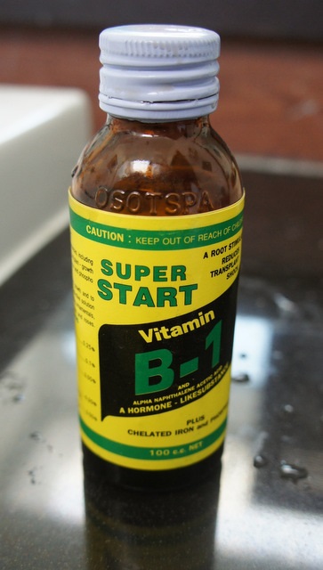 Hogyan kell alkalmazni a B1-vitamin, tannin vendégház