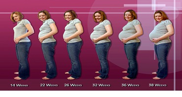 Ahogy egyre hasa alatt ikerterhesség, többes terhesség