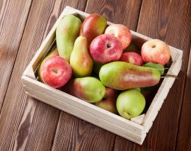 Hogyan kell tartani alma és körte friss, amíg a következő betakarításig - termőföld