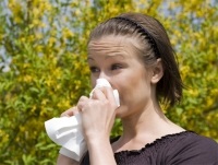 Hogyan menekülni Spring allergiák