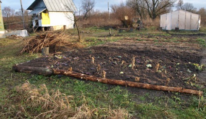 Hogyan törődik a föld a kertben