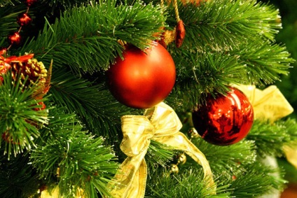 Hogyan válasszuk ki a karácsonyfa, hogyan válasszuk ki a mesterséges karácsonyfa, hogyan kell tartani a fa egy kicsit