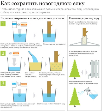 Hogyan válasszuk ki a karácsonyfa, hogyan válasszuk ki a mesterséges karácsonyfa, hogyan kell tartani a fa egy kicsit