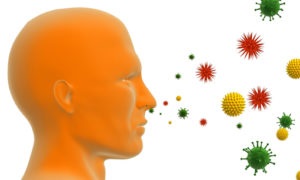 Amint allergének származnak egy szervezetben, a vezető testület tisztítás allergének (allergének származnak organizmus) Hogyan lehet megjeleníteni allergéneket a test, egy útmutató, hogy megtisztítsák a testet allergének