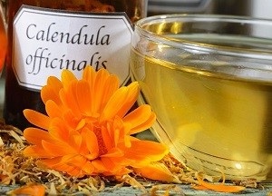 Calendula Hair hasznos tulajdonságok és ellenjavallatok, alkalmazás receptek