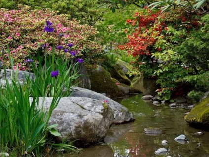 Intimitás és egységet a természettel a stílus az ősi Japán