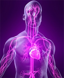 Kardioembóliás stroke tünetek és a kezelés