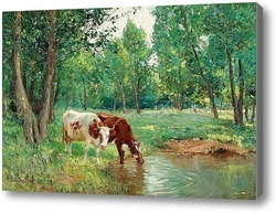 Kép tehén, vászon (festmény) Vászonképekre tehén