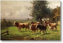 Vászon tehén (méret 72x50 méret) Vászonképekre tehén
