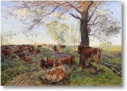 Kép tehén vászon (canvas) Vászonképekre tehén