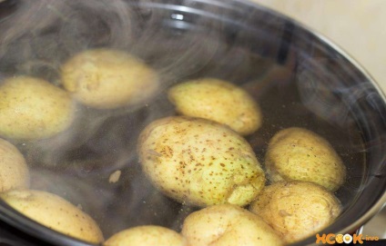 Idaho burgonya - recept fotókkal, hogyan kell főzni otthon a sütőben
