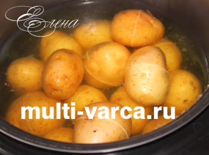 Burgonya kabát multivarka 1 (burgonya) Burgonya héjában a multivarka 1
