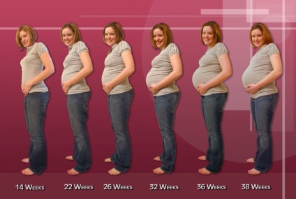 Amikor a hasa kezd nőni a terhesség alatt hozzávetőleges időpontját,